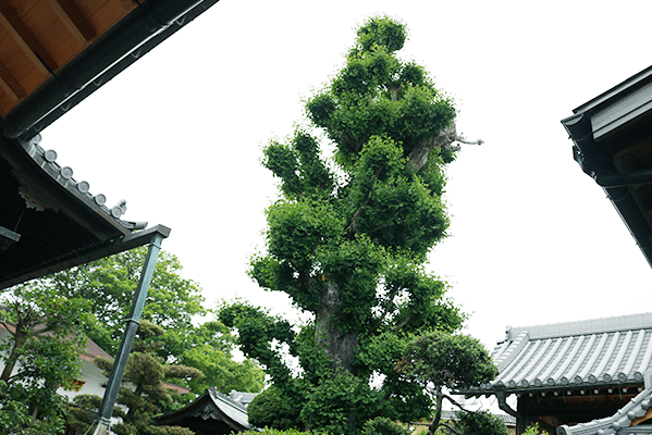 gallery-img03